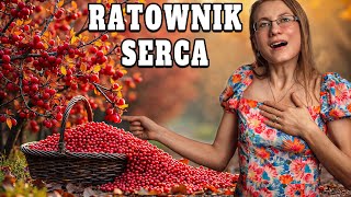 Ostatnia Szansa Roślina Która Może Uratować SERCE [upl. by Llyrat698]