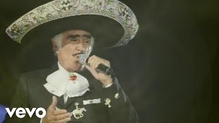 Vicente Fernández Mariachi México de Pepe Villa  El Tahur Audio [upl. by Ileane686]