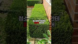 연봉 7000만원 받는 동료가 청소업체 직원한테 참교육 [upl. by Eenal]