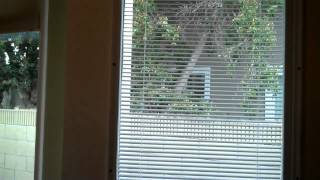 How to Install Internal Blinds over existing door windows [upl. by Imotas]