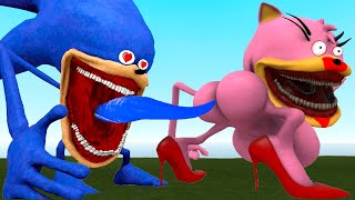 New Shin Sonic Tapes Love Story Cursed Amy Tapes Vs Sonic Tapes Sad Story in GMOD [upl. by Adnyl643]