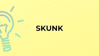 What is the meaning of the word SKUNK [upl. by Nagad406]