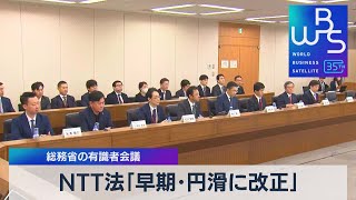 NTT法「早期･円滑に改正」 総務省の有識者会議【WBS】（2023年12月13日） [upl. by Pomfret585]