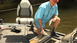 Lowe Boats Skorpion 16  Walkthrough [upl. by Gitt]