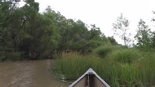 canoeing down the verde river camp verde arizona 6 [upl. by Norrehs]