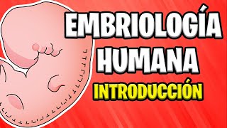 ✅ INTRODUCCIÓN A LA EMBRIOLOGÍA HUMANA  Conceptos Básicos 📚 [upl. by Booma319]