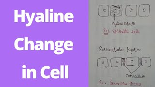 Hyaline change in reversible cell injury Morphology of reversible cell injury  1 year B pharma [upl. by Nytnerb14]