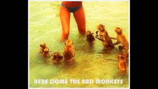 Barathon Lane  Here Come The Bad Monkeys Official Audio [upl. by Maurits]