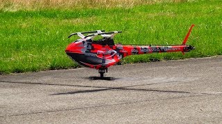 TAREQ ALSAADI GOBLIN KRAKEN 3D RC HELICOPTER SWISS HELI CHALLENGE 2019 [upl. by Analihp]