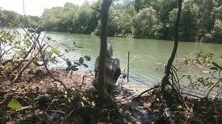 BARA ARDABILI LIVE STREAMING FISHING [upl. by Bartholomeus]