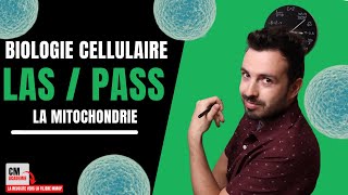 La MITOCHONDRIE  🧫 Ne tarrache plus les CHEVEUX avec ce cours  Je te donne lessentiel [upl. by Aicekal]