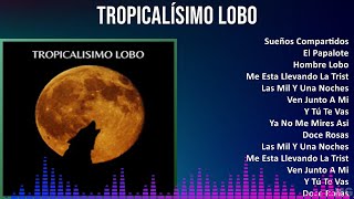 Tropicalísimo Lobo 2024 MIX Las Mejores Canciones  Sueños Compartidos El Papalote Hombre Lobo [upl. by Naik667]