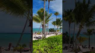 🇩🇴 Barcelo Bavaro Palace Punta Cana Domincan Rep🇩🇴🌴short shorts shortvideo bavaro puntacana [upl. by Rimas]