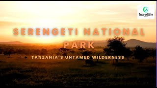 Wild Beauty of Serengeti National Park – Tanzania’s Untamed Wilderness [upl. by Eceer]