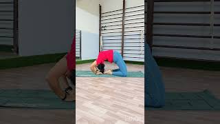 Sarvang setubandasana to Purna ushtrasana to shashankasana yoga dailyyoga yogadrills flexibility [upl. by Joappa423]