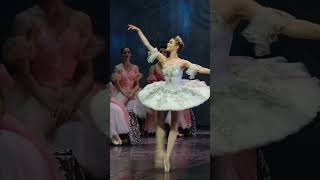 classical Russian ballet The Nutcracker [upl. by Nalyak]