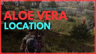 Once Human  ALOE VERA Location  Full Guide 2024 [upl. by Dorinda786]