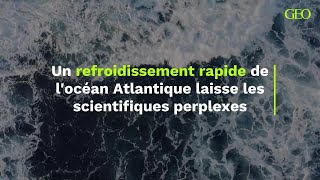 Un refroidissement rapide de locéan Atlantique laisse les scientifiques perplexes [upl. by Atenik]