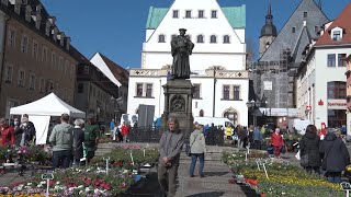 PUNKTum Blumenund Pflanzenmarkt in Eisleben [upl. by Birecree]