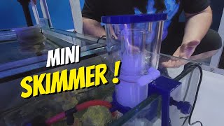 Teste  Colocamos um Skimmer para Nano Reef em uma bateria com 2547 litros de água salgada [upl. by Ynohtnael364]