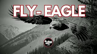 Epic Orchestral boombap hiphop Type Beat FlyEagle By 4tessBeats [upl. by Mcdougall]