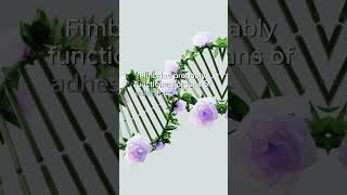 Types of fimbriae and function of pillibiologyytshortsmicrobiologymicroorganismsytfactsscienc [upl. by Milla827]