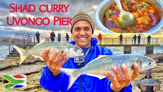 Fishing for Shad KZN South Coast  Catch and Cook [upl. by Yelrahs]