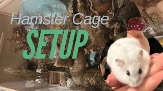 Relaxing Hamster Cage Setup 🧘‍♀️🐹❤️ [upl. by Mcgee]