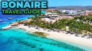 BONAIRE Travel Guide  Top 10 Best Things To Do [upl. by Kalbli922]