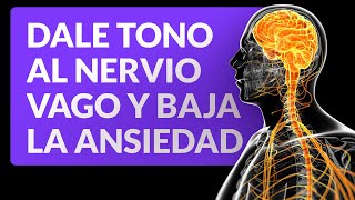 Ejercicios para darle tono al nervio vago y bajar la ansiedad [upl. by Rist]