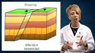 Types of Faults [upl. by Sualk]