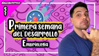 👨‍⚕️EMBRIOLOGIA  PRIMERA SEMANA DEL DESARROLLO [upl. by Arnold]