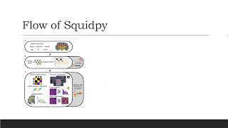 Squidpy Visium Data [upl. by Azarria895]