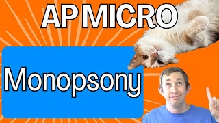 Monopsony in 3 Minutes  AP Micro Struggle 54 [upl. by Sudnak]