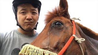 Nomadic Life in Mongolia amp VENOMOUS Snake Bite [upl. by Emixam709]