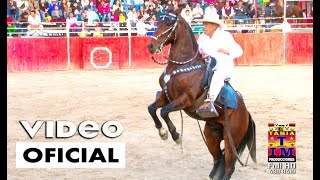 Caballos de Paso Peruano Bailando 2017 Video Oficial Full HD Tania Producciones✓ [upl. by Dicks365]