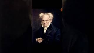 COMO VENCER UM DEBATE  Estratagema Nº1  Schopenhauer [upl. by Aradnahc]