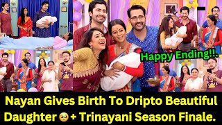 Trinayani Zee World Weekly Teasers From 10th To 17th November 2024 Teaser Update In English [upl. by Fenner512]