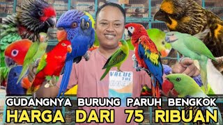 BURUNG PARUH BENGKOK DUA RIBU SERASA PUNYA MACAW HARGA DARI 75RIBUAN DI PASAR BURUNG PRAMUKA [upl. by Ennayr]