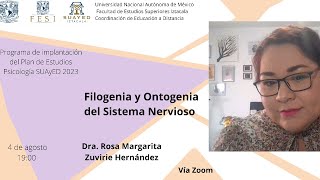 Filogenia y Ontogenia del Sistema Nervioso [upl. by Elmore]