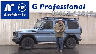 2017 MercedesBenz G 350d Professional W463 Fahrbericht der Probefahrt Test Review [upl. by Eivets]