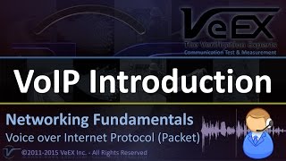 VoIP Technology Introduction [upl. by Rosenquist564]