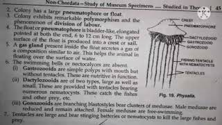 physalia classification habitat and comments zoology practical bsc1 best handwritten study notes [upl. by Barbour]