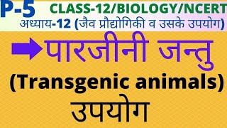 CLASS12C12PART5 पारजीनी जन्तु Transgenic animal पारजीनी जन्तुओं का महत्वउपयोगिता। [upl. by Ynatil]