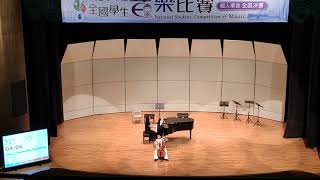 Haydn Divertimento in D major  IAdagio amp IIIAllegro10y [upl. by Stormi]