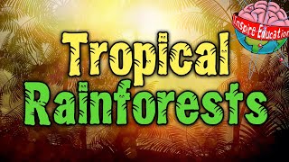 What are tropical rainforests [upl. by Nylleoj]