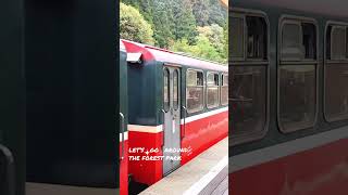 Ride the Alishan Forest Train Taiwan [upl. by Mohn422]