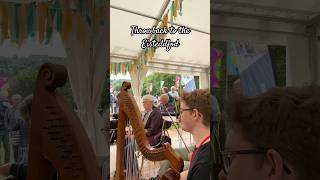 Throwback to the Eisteddfod eisteddfod folk wales welshmusic [upl. by Telrahc]