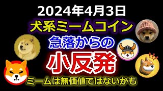 好調ドッグウィフハット！ドージコイン、シバイヌ、フロキ、ボンクなど犬系ミームコインは急落からの小反発傾向！ミームは無価値ではない【2024年4月3日 DOGE SHIB FLOKI BONK WIF】 [upl. by Brasca992]