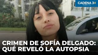 Crimen de Sofía Delgado todo lo que se sabe hasta ahora  Cadena 3 Argentina [upl. by Bishop114]